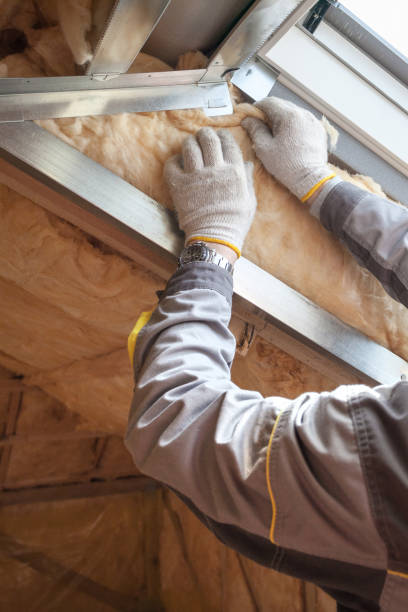 Professional Insulation Contractor in Shenandoah, TX