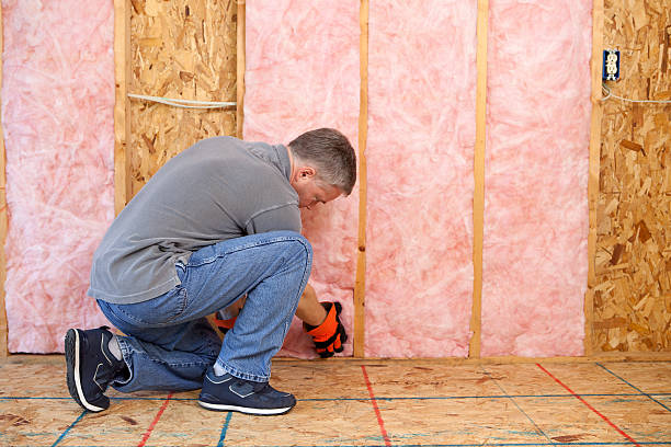 Best Insulation Maintenance and Repair in Shenandoah, TX