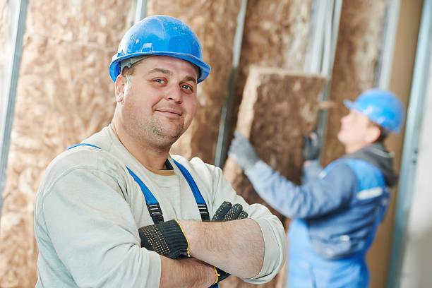 Best Commercial Insulation in Shenandoah, TX