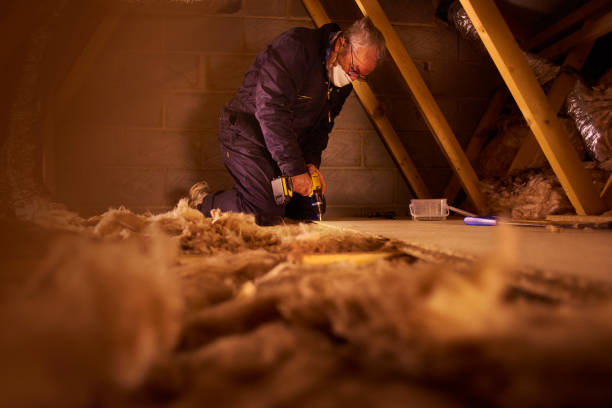 Best Fiberglass Insulation in Shenandoah, TX
